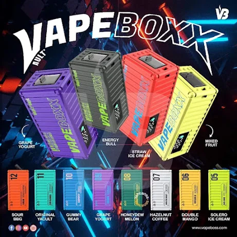 VAPEBOXX 12000